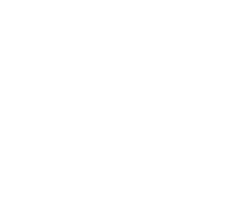 Branding Icon
